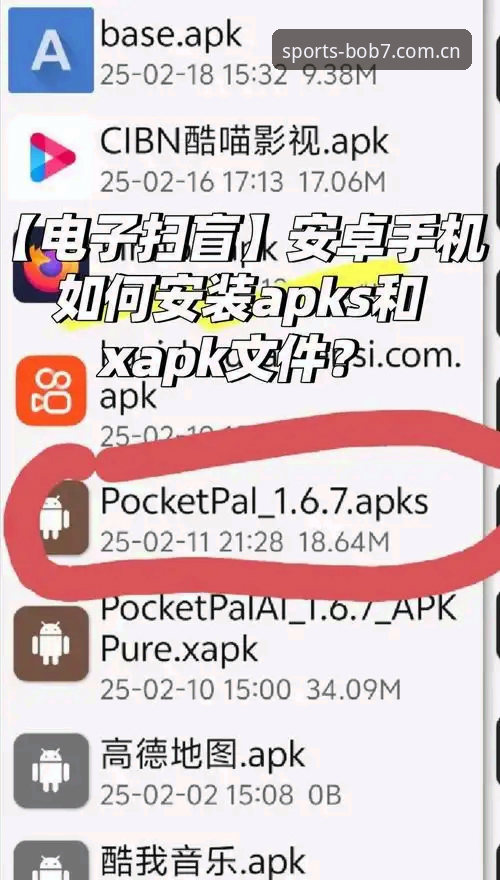 BOB安卓下载教程最新动态 v2.1.0版本升级详解，张峰深度对比主流方案